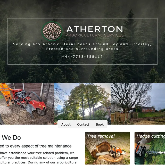 Portfolio entry screenshot